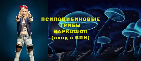 твердый Магас