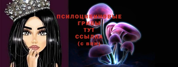СК Магадан