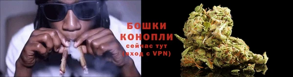 СК Магадан