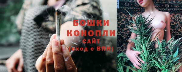 твердый Магас