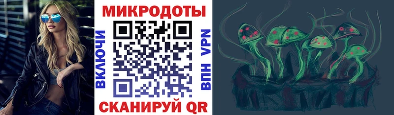 Псилоцибиновые грибы Cubensis Покачи